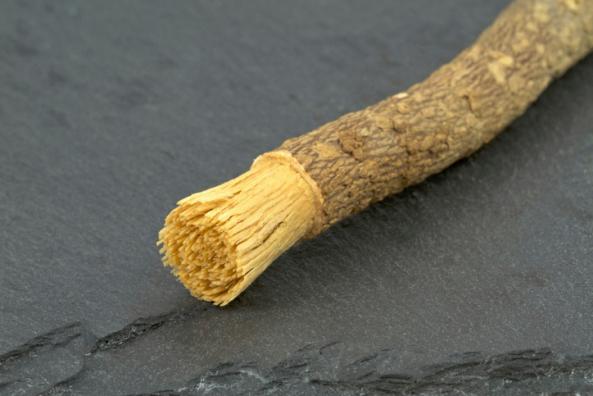 فواید استفاده از چوب مسواک